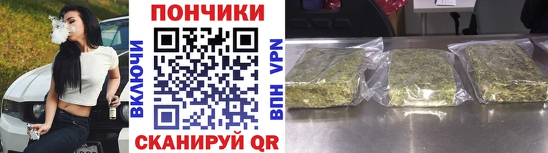 Шишки марихуана планчик  купить наркотики сайты  hydra ТОР  Канаш 